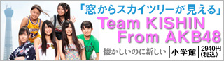 Team KISHIN From AKB48�u������X�J�C�c���[��������v