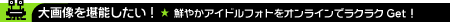 大画像を堪能したい!