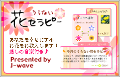 うらない花セラピー
