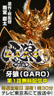 TiGAROjPbzM