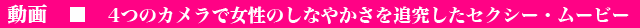 11ch̐VRXv[r[𖈓yłˁB