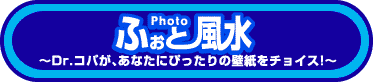 ӂƁiphoto)
