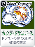 ɥ饳˥