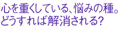SdĂAY݂̎BǂΉH