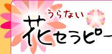 Ȃ@ԃZs[