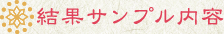 結果サンプル内容