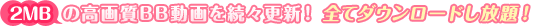 2MB̍掿BB𑱁XXVISă_[hI
