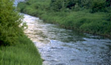 �J���j�i�̐�����