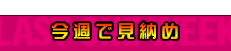 ���T�Ō��[��