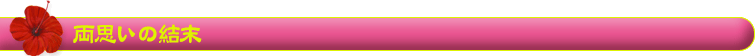 v̌