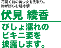 ���������R���v���[�g�{�b�N�X