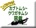 マルチメディア カブトムシ・クワガタムシ図鑑