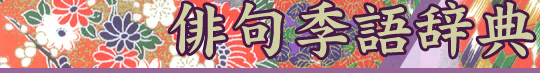 oGꎫT