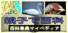 eqŕS
