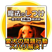 ���@�̂��� �`�����́u���Y�݁v�����p�`