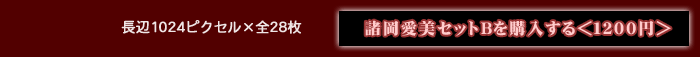 約15MB 約15MB