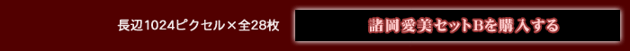 約15MB 約15MB