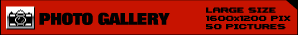 PHOTO GALLERY