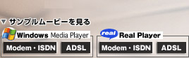 �T���v�����[�r�[������