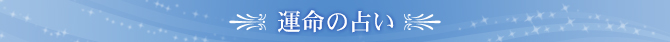 ^̐肢
