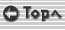 topreturn_button