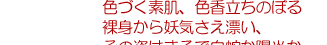 SBOOKc琰