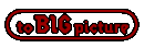 �g��