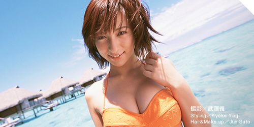 サンプルを見る
