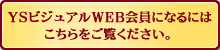YSrWAWEBɂȂɂ͂B