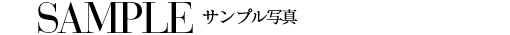 �T���v���ʐ^