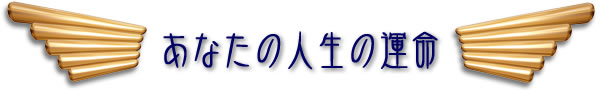 Ȃ̐l̉^