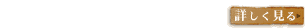�ڂ�������