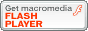 FlashPlayer�_�E�����[�h