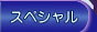 スペシャル
