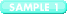 SAMPLE 1
