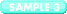 SAMPLE 3