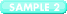 SAMPLE 2