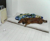 200602121848000.jpg