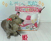 200603252318000.jpg